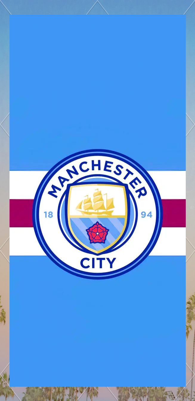 沪媒：足协杯决赛有六成是河南球迷，“球迷专列”重现江湖