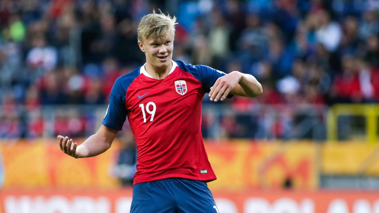 博彩运营商参与社区再造林项目