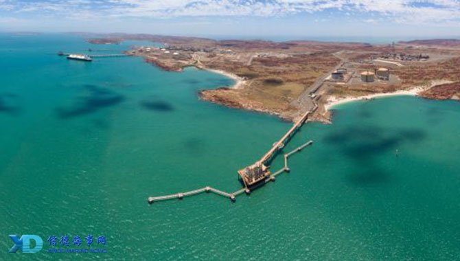 帕尔默缺席训练备战埃弗顿，复出计划稳步推进