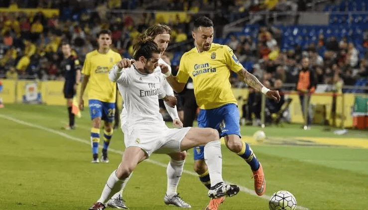 《疯狂动物城2》马飞扬强势入场：迪士尼动画马术圈群星汇聚！